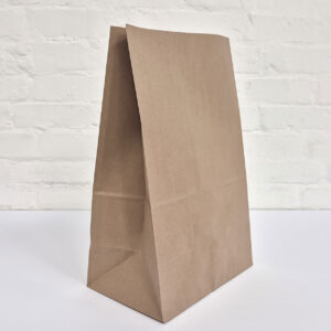 Delivery Bags (100 Pack)
